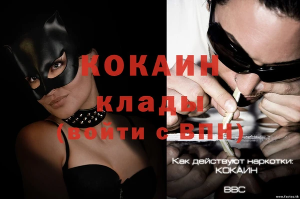 трава Бородино