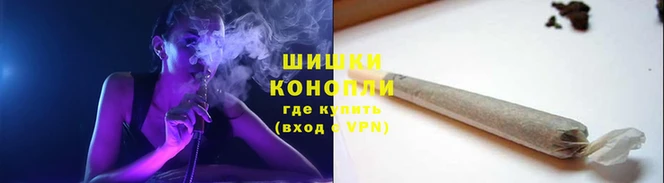 трава Бородино
