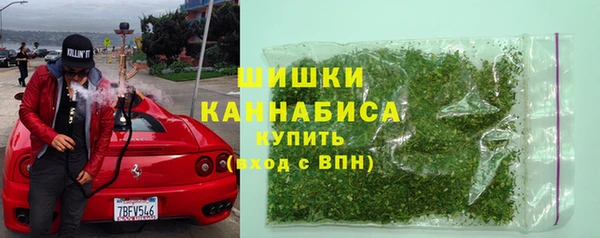 трава Бородино