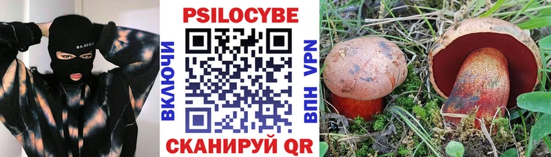 купить наркоту  MEGA зеркало  Галлюциногенные грибы Psilocybe  Буй 